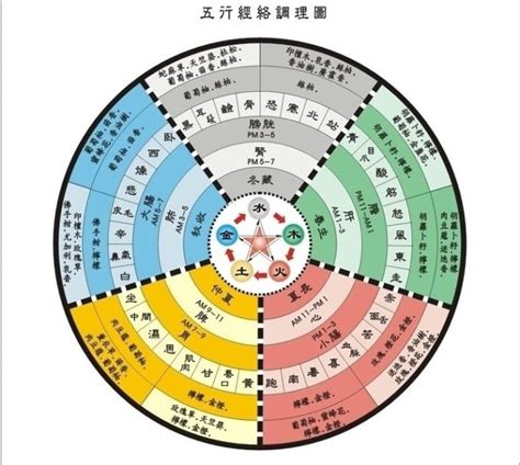 五術是什麼|五術